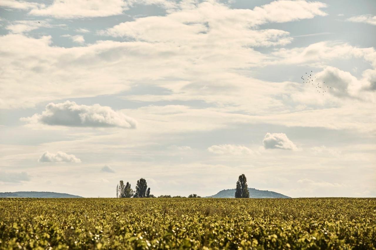 Como Le Montrachet Puligny-Montrachet Kültér fotó
