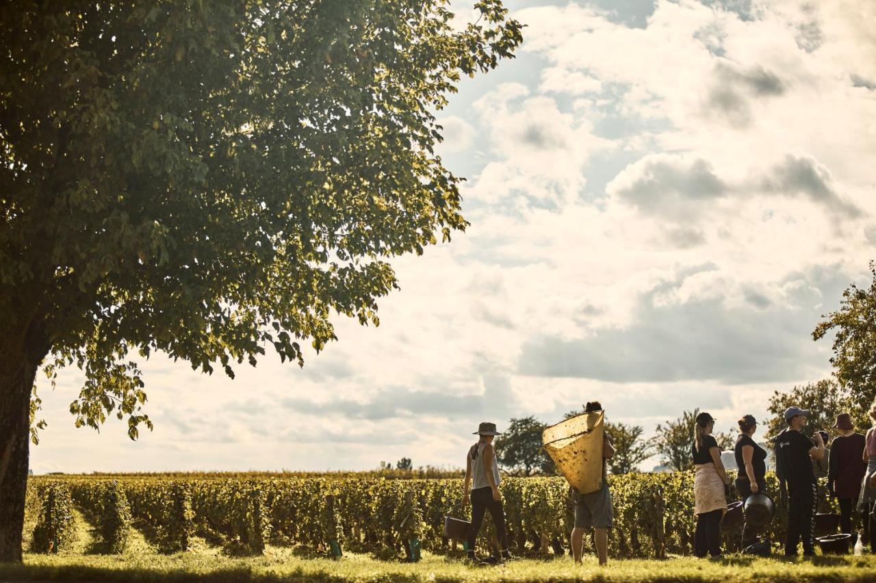 Como Le Montrachet Puligny-Montrachet Kültér fotó