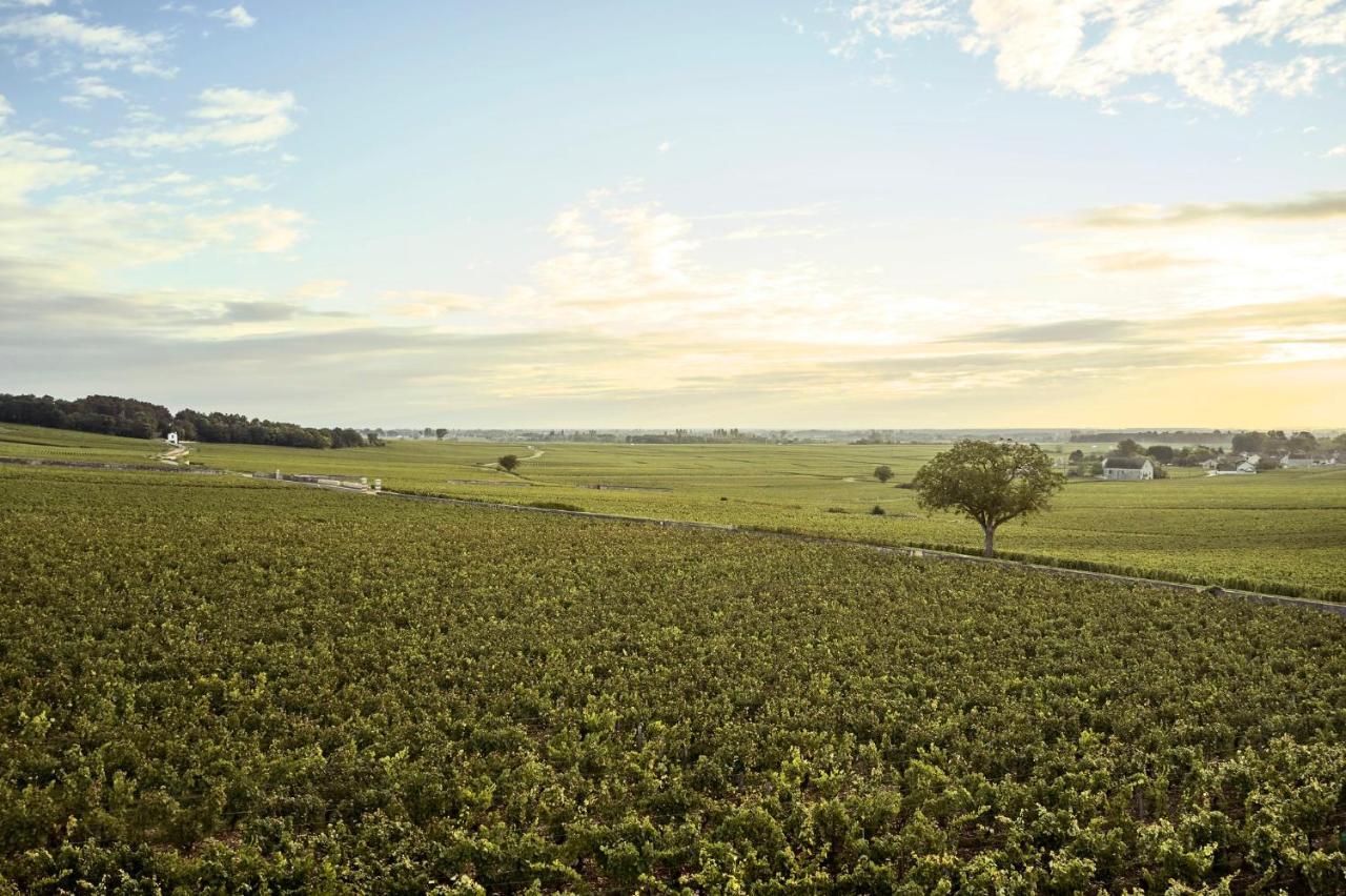 Como Le Montrachet Puligny-Montrachet Kültér fotó